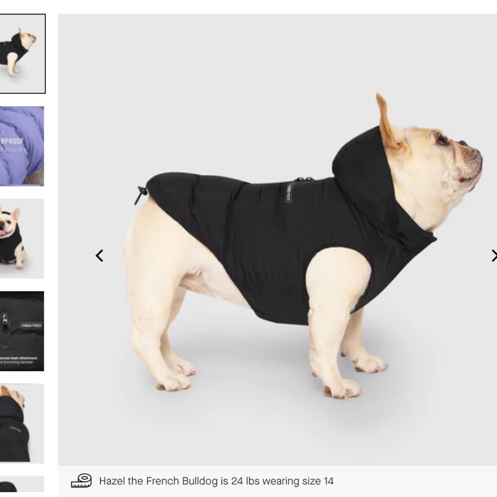 Canada Pooch Waterproof Puffer Size 14 Black